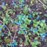 IMG 20160404 193627