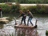 IMG 4517